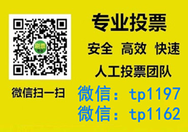 洛阳市微信手动投票费多少钱让我告诉你微信投了多少