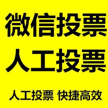 洛阳市小程序微信拉票通过什么方式操作有哪些方法操作？